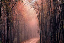 尊龙凯时：[法甲]王子公园联赛首秀 巴黎圣日耳曼六球大胜.