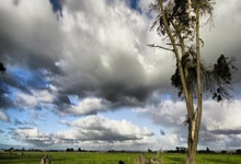 范志毅批国足背着手防守!媒体人反驳:无数国际巨星都这么做.