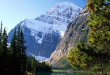 尊龙凯时:“速滑世锦赛:中国男子速滑接力队夺得历史性金牌”.